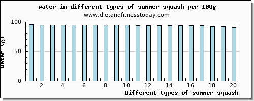 summer squash water per 100g